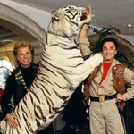 siegfried and roy stuffed tiger