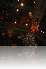 Bellagio Conservatory Fall