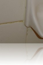 Rio Las Vegas Bad Bathroom